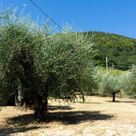 L'azzurro Tra Gli Ulivi Narni Scalo
